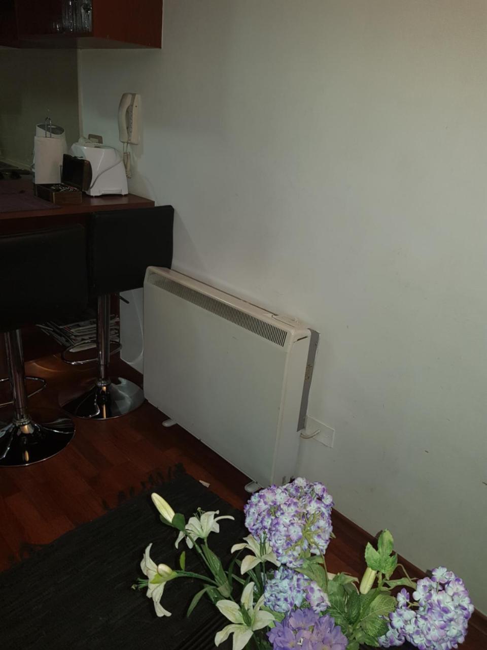 San Isidro Plaza 292 Apartment *