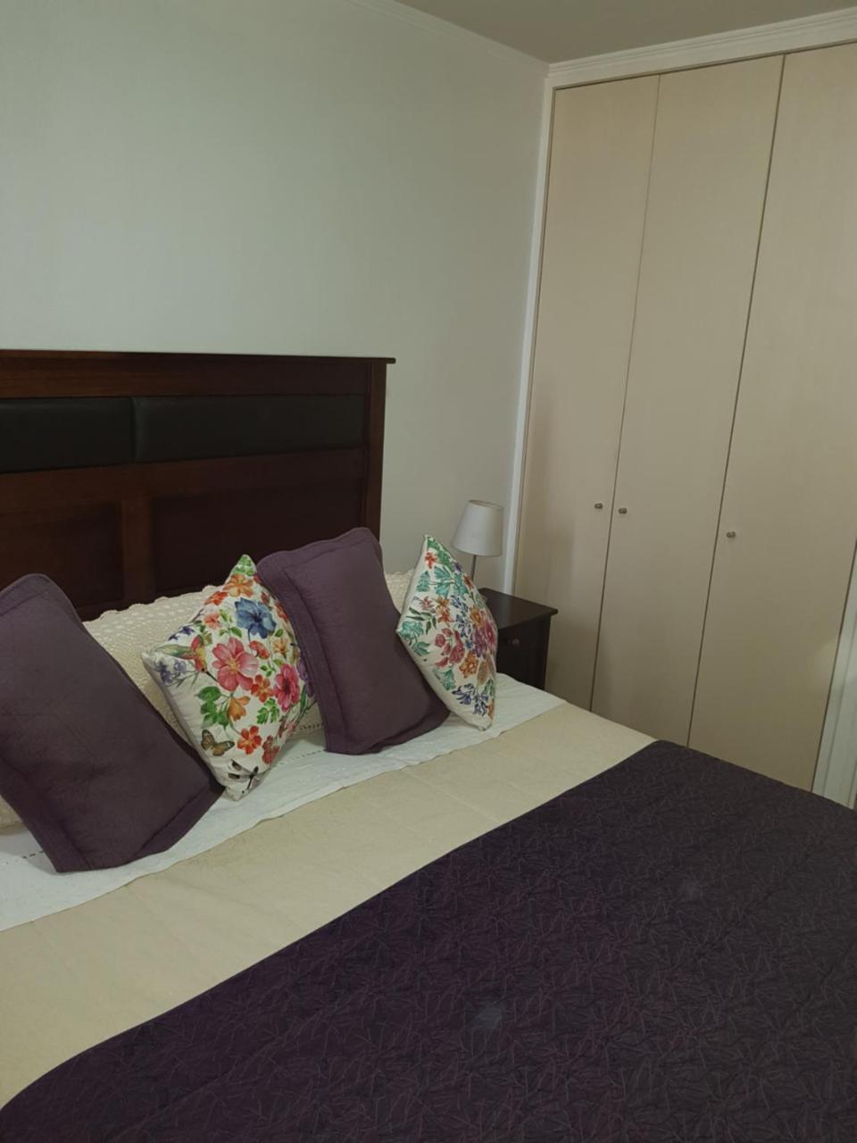 Apartamento San Isidro Plaza 292 Santiago